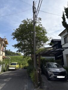 危険木伐採